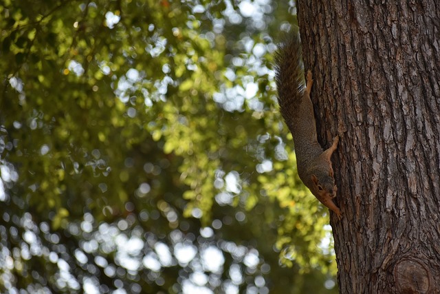 的决赛中 的决赛中