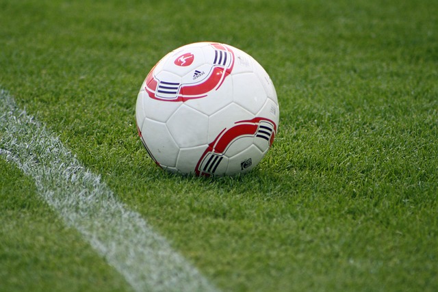 应的运动 应的运动