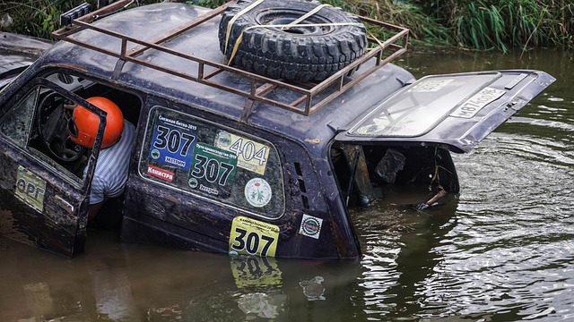 多次使加拿 多次使加拿