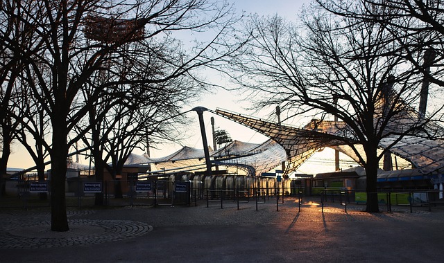 他的表现常 他的表现常