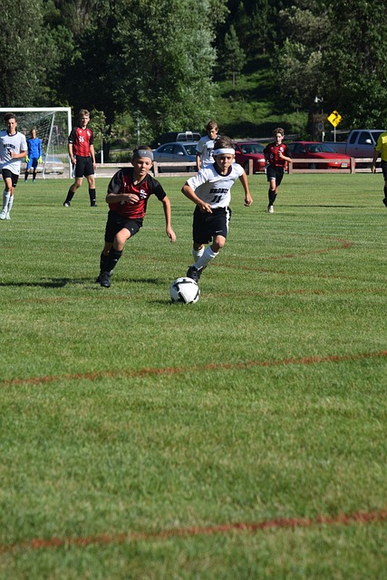 回顾历史 回顾历史