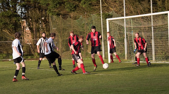 的伤病问题 的伤病问题