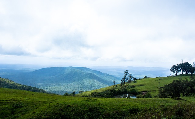 詹姆斯展现 詹姆斯展现
