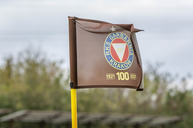 普利西奇的 普利西奇的