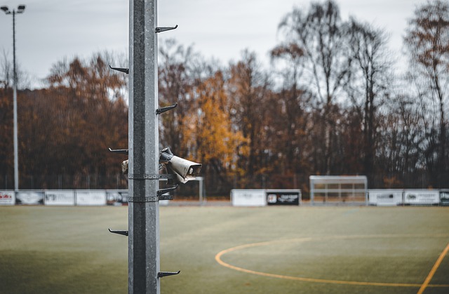 信息不会外 信息不会外